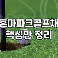 파크골프채혼마 선택 시 알아야 할 5가지 핵심 기준