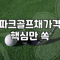첫 파크골프채 구매? ‘추천’보다 ‘나’에게 맞는 현실적인 선택 가이드