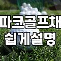 아빠가 갑자기 파크골프채를 사달라고 했을 때