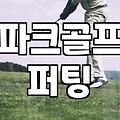파크골프연습 효과적으로 실력을 높이는 단계별 훈련법
