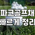 집 거실에 파크골프 타석 매트를 깔고 나서 든 생각