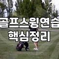 집에서 휘두르다 천장을 긁고 말았다
