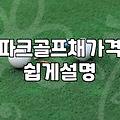 파크골프채, 비싼 게 무조건 정답일까? 30대 직장인이 본 현실적인 선택