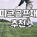 파크골프채, 국산 vs 수입: 제 경험과 현실적인 조언