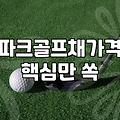 여자 파크골프채, 이것저것 따져보다 결국엔 ‘이것’ 샀습니다