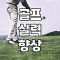 골프연습도구 선택 기준과 실전 활용 효과