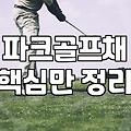 판테온파크골프 제품 특징과 장비 선택 시 확인사항