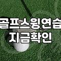 골프연습도구 종류별 가격과 실제 활용 효과 비교