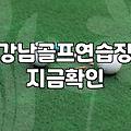 강남에서 골프 연습장 고를 때 솔직히 고민되는 것들
