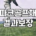 파크골프 채 살 때 이것저것 고민하다 결국…