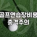 가정용 스크린 골프, 환상과 현실 사이에서 고민하는 이들에게