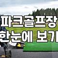 갑자기 파크골프를 시작하게 된 이유