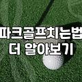 파크골프 시작할 때 꼭 알아두어야 할 실전 정보들