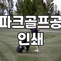 파크골프공, 직접 써보고 느낀 솔직한 후기 (인쇄 서비스)