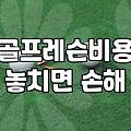 마곡 실내 골프 연습장에서 3개월 레슨을 받아본 이야기