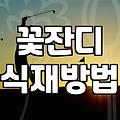 마당이나 공원 경사지에 꽃잔디를 심을 때 고려할 현실적인 부분들