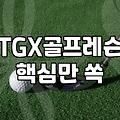 프리미엄 스크린 골프 TGX 직접 이용해 보니