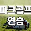 집 거실에 인조잔디를 깔아보려다 며칠을 고생했다