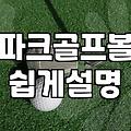 초보자가 후회 없는 파크볼을 고르는 세 가지 핵심 기준