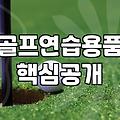 거실 한구석에 깔아둔 퍼팅 매트가 짐스러워질 때쯤
