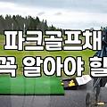 파크골프채, 비싼 게 무조건 답일까? 30대 실전 경험자의 솔직한 생각