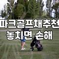 아버지가 파크골프채를 사달라고 하셔서 일단 매장에 다녀왔다