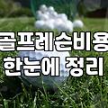 골프 배우기를 고민하는 당신에게 건네는 솔직한 조언