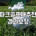 파크골프채종류 파악하고 나에게 맞는 클럽 고르는 법