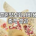 요즘 결혼정보회사 이용과 현실적인 고려사항들