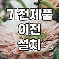 결혼 가전, 삼성 vs LG, 그냥 사지 말고 ‘이것’부터 따져보세요