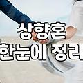 결혼정보회사를 고민하는 30대에게: 솔직히 말하는 ‘조건’과 ‘실전’의 간극