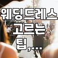 웨딩드레스 고르기, 뭐가 그렇게 어려웠나? 솔직 후기