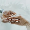 결혼식장에서 다이어트식단, 비만치료 선물하기!
