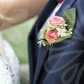 결혼, 사랑의 정답은 타로의 세계에 있다?