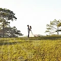 결혼의 결정, 무료상담변호사로 시작하세요!
