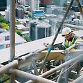 손해배상청구소송, 당신이 꼭 알아야 할 정보
