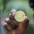 국비교육사이트로 알아보는 청년 직업 교육의 모든 것!