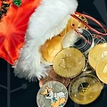 정부 지원으로 쉽게 배워보자! ITQ 독학의 모든 것