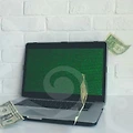 백수정원석: 당신이 몰랐던 놀라운 비밀과 정부지원 활용법