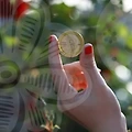 정부지원으로 달라지는 청년 취업 현장: 실무 가이드와 사례 연구