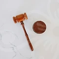 개인회생과 파산: 당신이 알아야 할 모든 것!