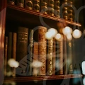 울산 개인회생: 당신의 빚 문제를 해결할 수 있는 방법은?