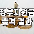 보조금 신청 자격과 지급 시기 확인하는 방법