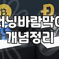 러닝집업과 바람막이, 비싼 게 정말 정답일까? 30대 러너의 솔직한 고찰