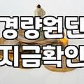 유행만 따르다 실패하는 여름바람막이자켓 쇼핑할 때 꼭 확인해야 할 조건