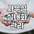 털실내화, 사고 나서 후회하기 전에 알아야 할 몇 가지 사실들