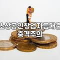 개인사업자정부지원대출 신청 자격과 실질적인 승인 조건