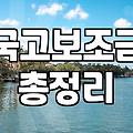 우리 동네 마을 사업 보조금 신청하다가 진이 다 빠졌다
