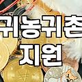 지자체 복지 정책과 귀농귀촌, 서류 너머의 현실에 대하여