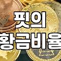 남자9부팬츠 편안함과 스타일 두 마리 토끼 잡는 법
